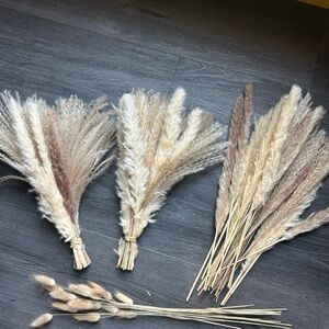 Natural Dried Pampas Grass Decor